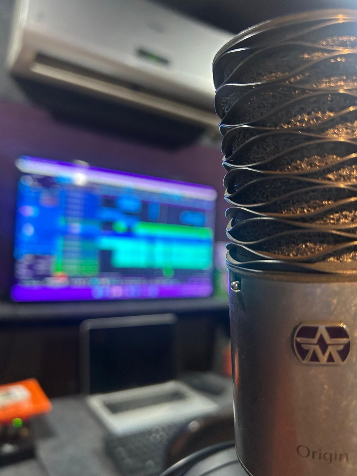 Condenser microphone in front of the session screen